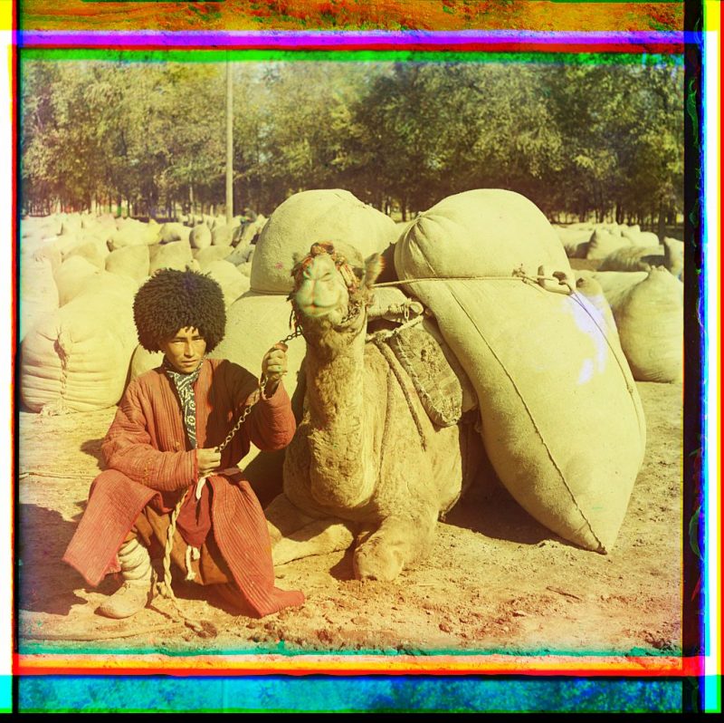 Man with camel loaded with packs