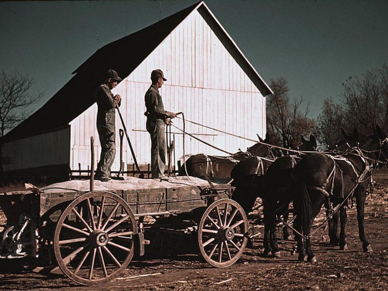 Fertilizer wagon at an arid farm.