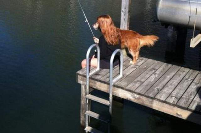 Just-a-Dog-with-Long-Hair-Fishing