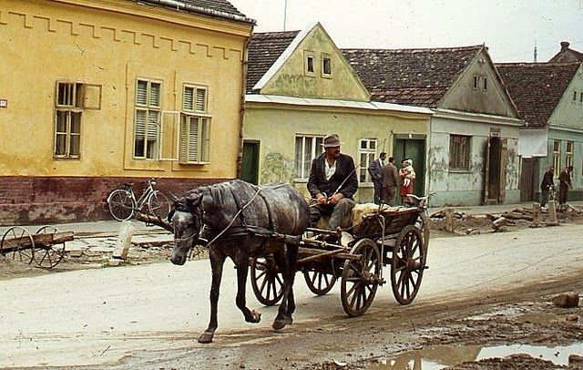 Daily Life in Yugoslavia in 1972 (15)