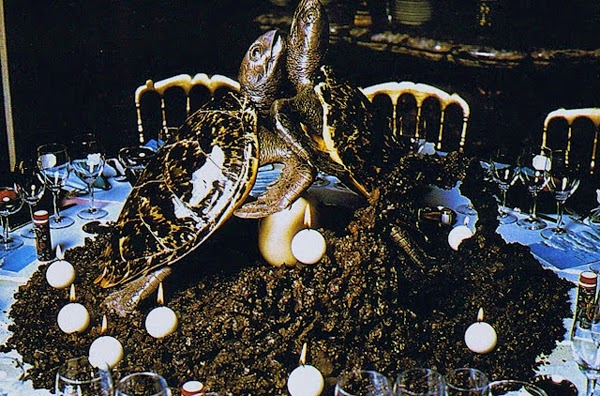 The Rothschild Illuminati Ball in 1972 (14)