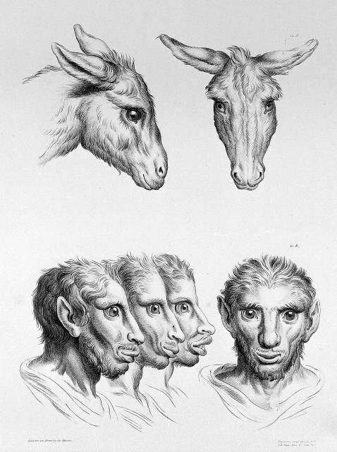 L0010065 The relation between the human physiognomy and that of the Credit: Wellcome Library, London. Wellcome Images images@wellcome.ac.uk http://wellcomeimages.org A series of lithographic drawings illustrative of the relation between the human physiognomy and that of the brute creation 1827 A series of lithographic drawings illustrative of the relation between the human physiognomy and that of the brute creation / J. G. Legrand Published: 1827. Copyrighted work available under Creative Commons Attribution only licence CC BY 4.0 http://creativecommons.org/licenses/by/4.0/