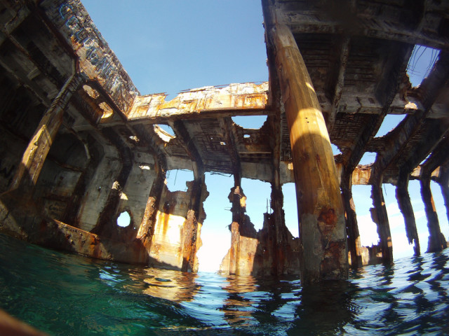 Submerged in about 15 ft underwater. source: Ines Hegedus-Garcia/Flickr