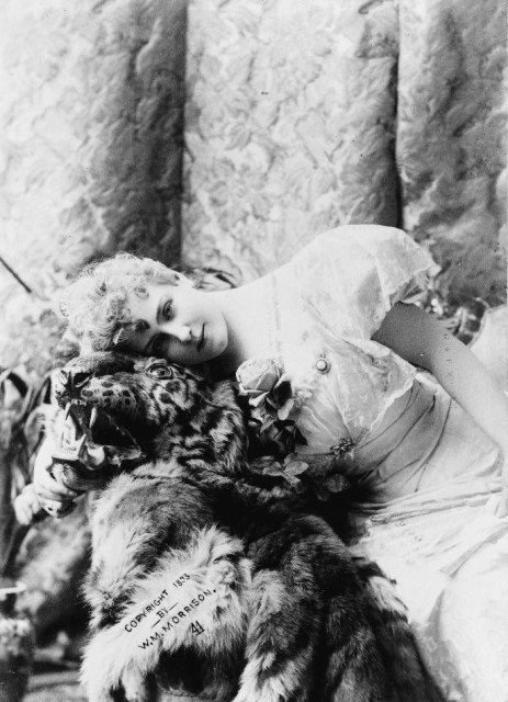 Lillian Russell, three-quarter length portrait, seated, facing slightly left leaning left on tiger head & skin Source