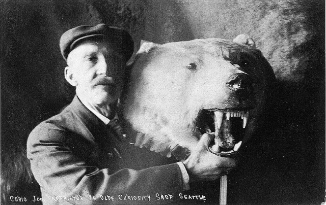 1913 postcard depicting J. E. Standley posing with a polar bear rug. source