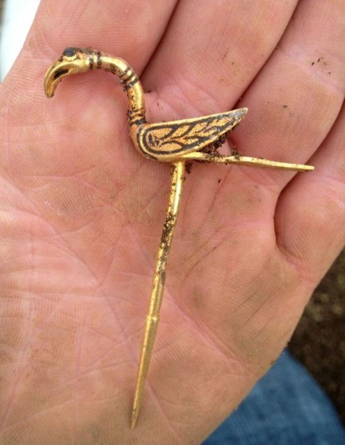 Derek McLennan, a metal detector enthusiast, spent a year on a piece of ground in Dumfries and Galloway before he came across Britain's biggest ever haul of Viking treasure. Newly Discovered Viking Hoard In Scotland Included A Gold Pin In The Shape Of A Bird. source