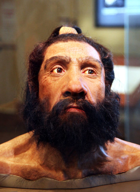 Reconstruction of the head of the Shanidar 1 fossil, a Neanderthal male who lived c. 70,000 years ago.source