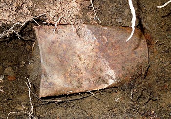 Rusted can of gold coins as found at discovery site in February 2013 Source
