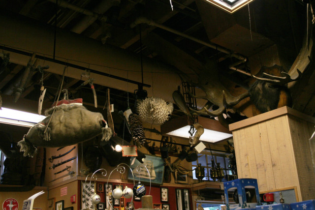 Some of the wonders inside Ye Olde Curiosity Shop. source
