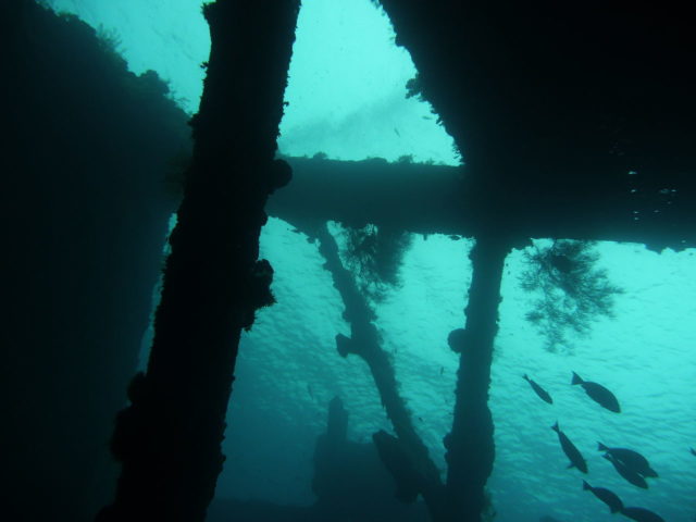 one of the cargo holds of USAT Liberty wreck, the cargo holds are mostly close to collapsing