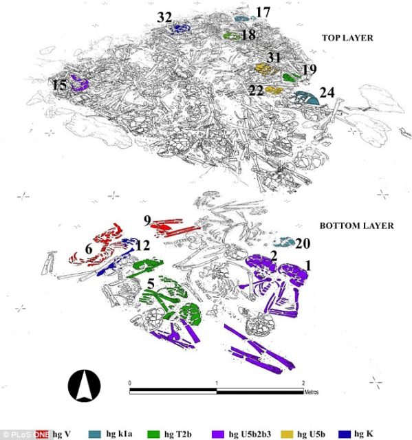 Superposition of different layers of the Neolithic ossuary indicating the individuals with the same genetic profile (graphic: Héctor Arcusa Magallón). Source Plos One