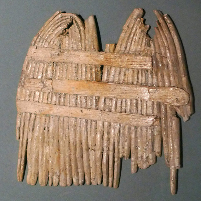A Stone Age nit comb. Source