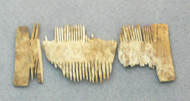 Comb made out of bone. Site Vienna I. district Judenplatz, synagogue filling of a pit in the Schulhof. Source