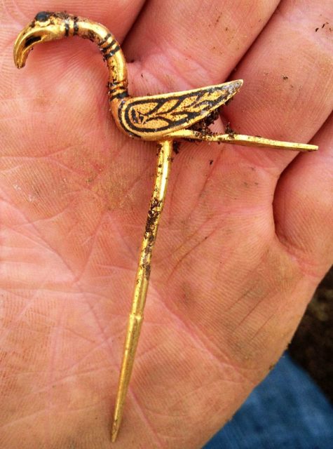Gold bird pin Source