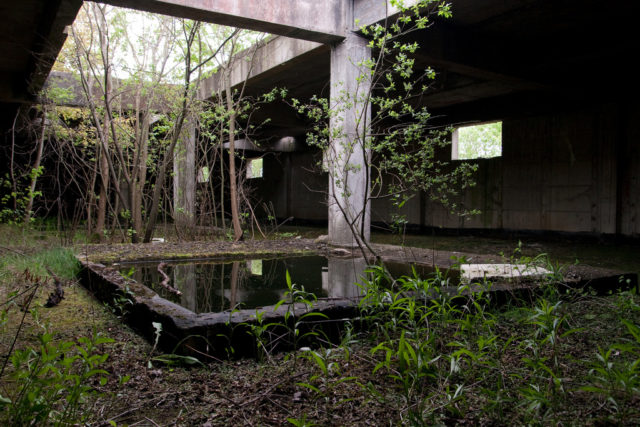 Reclaimed by nature - 25 years after it was abandoned. Source