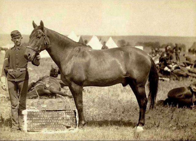 When he died in 1891, he was the first of only two horses in American history ever given a funeral with full military honors. Source