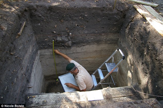 Archaeologists have discovered residues of mung beans and rice in archaeological layers in Madagscar.Source: Nicole Boivin 