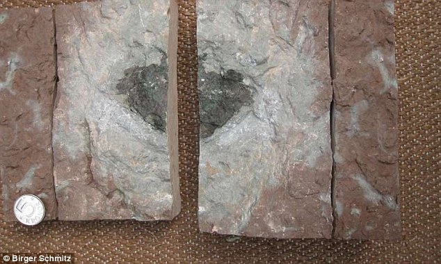 Öst 065 fossil meteorite.Source:BIRGER SHMITZ