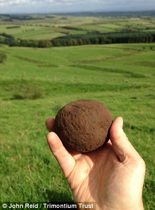 Among the finds are ammunition from Roman artillery weapons, such as this stone ball.Source: John Reid/ The Trimotium Trust