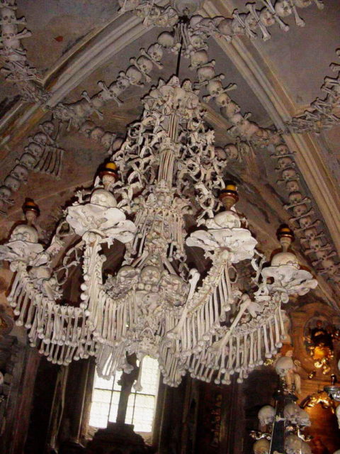Chandelier made of bones and skulls.Source