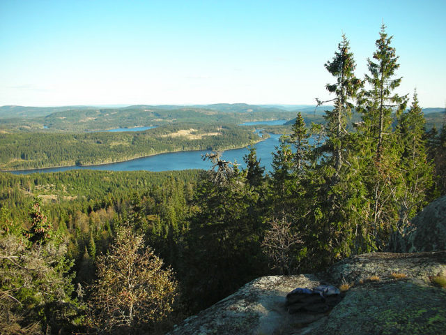 Nordmarka forest