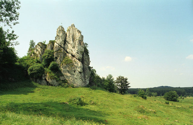 Łutowiec Castle