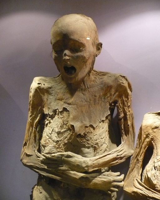 A mummy, 2009 .Source