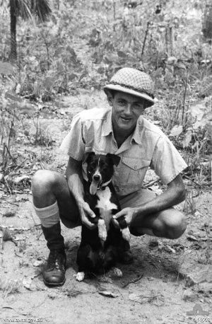 Black and white image of the dog Gunner and his handler Percy Leslie Westcott.Taken after the bombing of Darwin in February 1942. By Creator unknown, but credit line is donor P L Westcott. - This image is available from the Collection Database of the Australian War Memorial under the ID Number: 044608.This tag does not indicate the copyright status of the attached work. A normal copyright tag is still required. See Wikipedia:Image copyright tags for more information.The AWM's website has guidance on the duration of copyright for images in its database which should be consulted before uploading images., https://en.wikipedia.org/w/index.php?curid=31560455