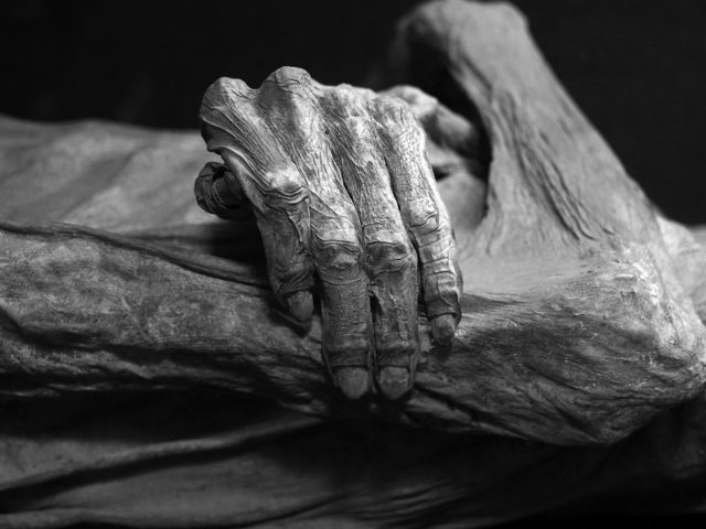 Detail of a mummy .Source