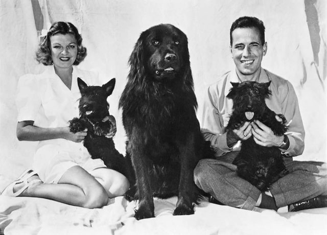 Mayo and Humphrey Bogart with their dogs (1944)Source