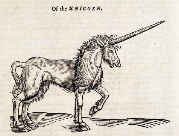 Unicorn Source:Wikipedia/public domain