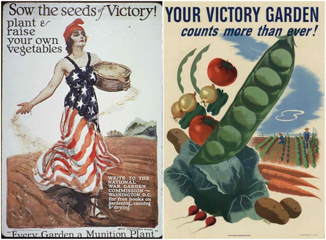 Left photo - WWI-era U.S. victory poster.. Source, Right photo - American WWII-era poster promoting victory gardens.. Source