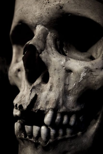 A human skull, widely used as a symbol of death and decomposition Photo Credit