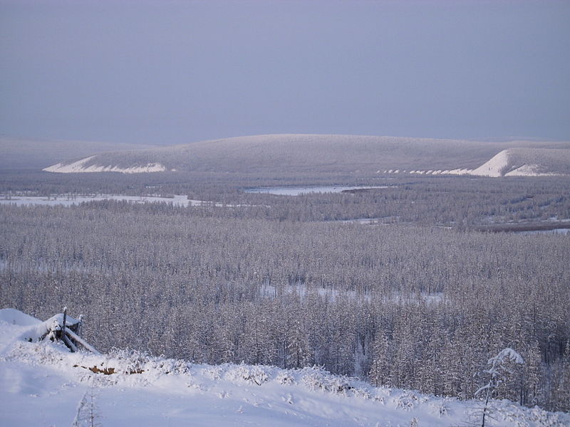 Siberian taiga in the river valley near Verkhoyansk. The lowest temperature recorded there was −68°C (−90°F). Source: Wikipedia/Public Domain
