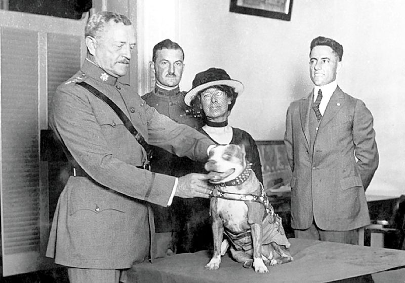 Gen. John Pershing awards Sergeant Stubby with a medal. Source: Wikipedia/Public Domain