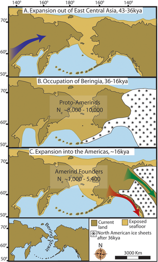 Illustration of hypothetical chronology for migration through Beringia Photo Credit