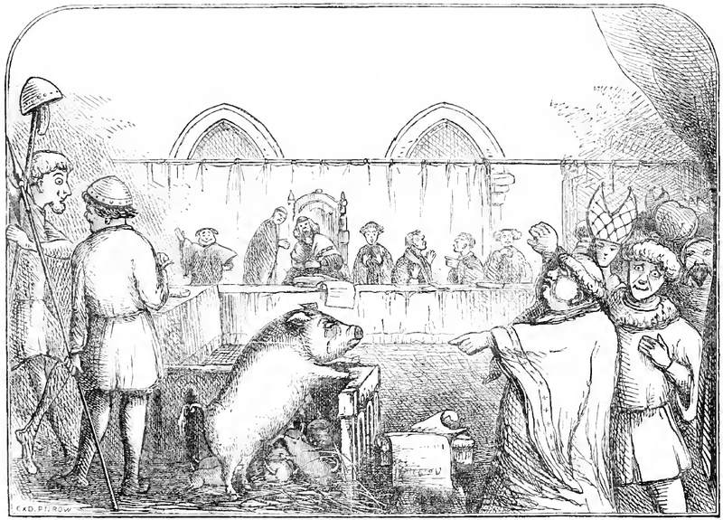 Illustration from Chambers Book of Days depicting a sow and her piglets being tried for the murder of a child.