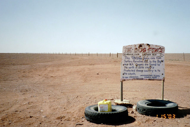A portion of the dingo fence near Coober Pedy. Photo Credit