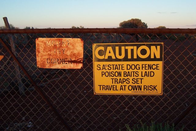 Dingo Fence at Igy Corner, SW of Coober Pedy. Photo Credit