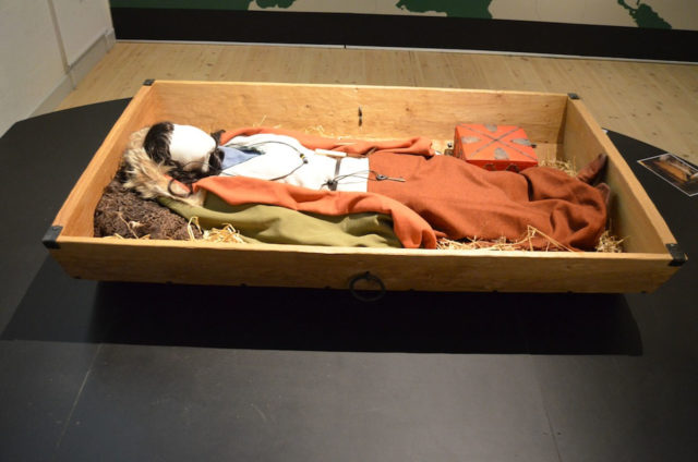 One of three people found in the tomb was a wealthy Viking woman Photo Credit: Silkeborg Museum