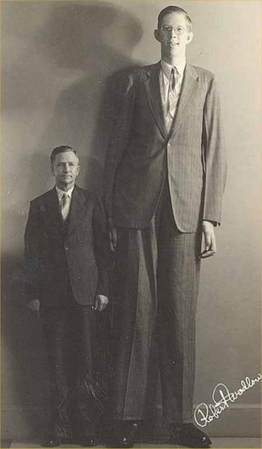 Robert Wadlow compared to his father, Harold Franklin Wadlow, whose height was 1.82 m (5 ft 11 1⁄2 in)