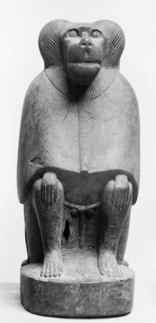 This coffin, shaped like a baboon, once contained the remains of a baboon as an offering to the god Thoth. Walters Art Museum, Baltimore.