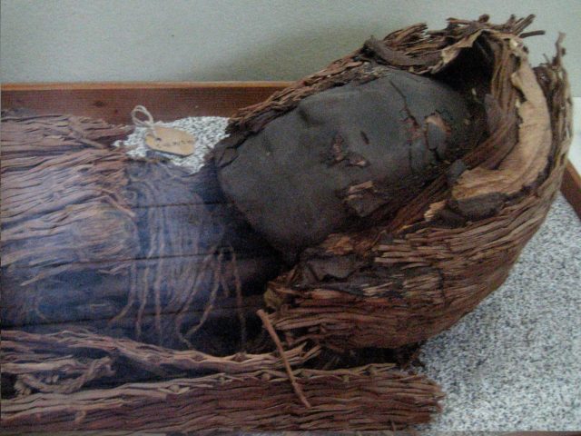 Head of a Chinchorro mummy.