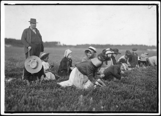 Group of workers on Smart’s Bog. South Carver, Mass, September 1911 Photo Credit