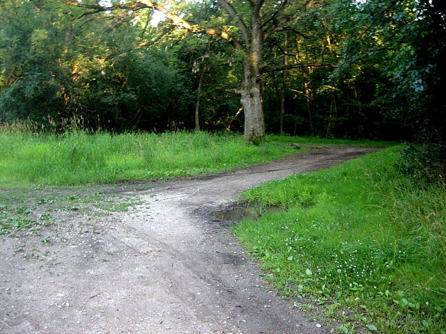 Crossroads were common burial sites for suicides. Photo Credit