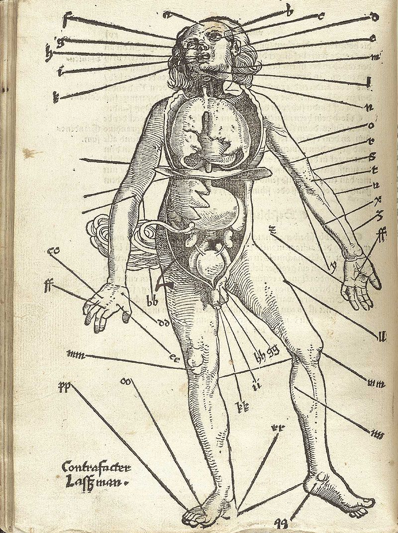 Points for blood-letting, Hans von Gersdorff (surgeon), Field book of wound medicine, 1517