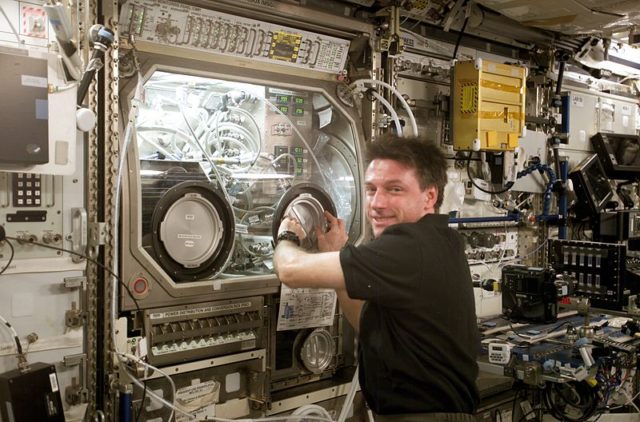 Expedition 8 Commander and Science Officer Michael Foale conducts an inspection of the Microgravity Science Glovebox.