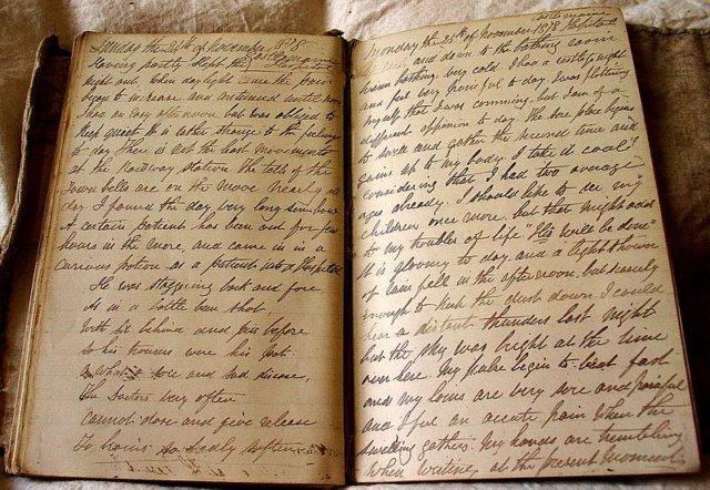 24 November 1878 diary entry written by Joseph Jenkins while in Castlemaine Hospital. Photo credit