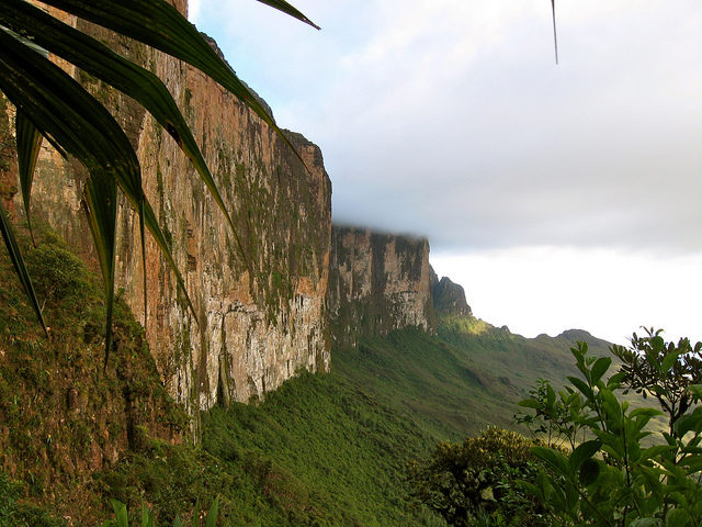 The steep rock wall of Monte Roraima. Photo Credit