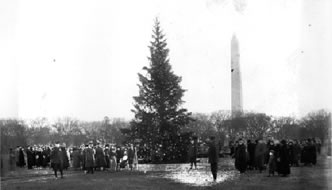 "The first National Christmas Tree," lit on December 24, 1923, in the middle of the Ellipse outside the White House